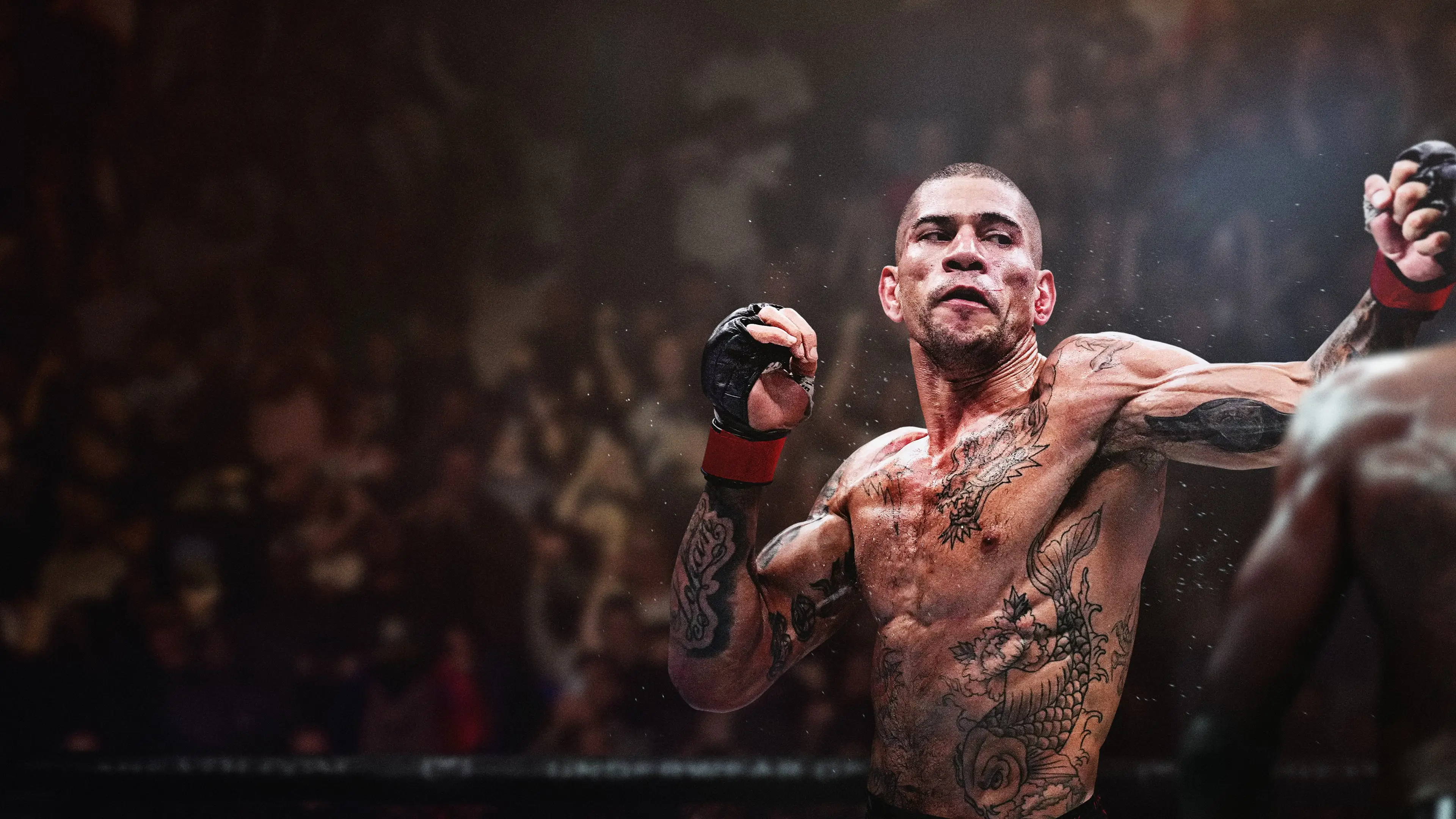 UFC® 6